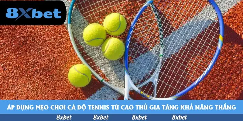 Áp dụng mẹo chơi cá độ tennis từ cao thủ gia tăng khả năng thắng